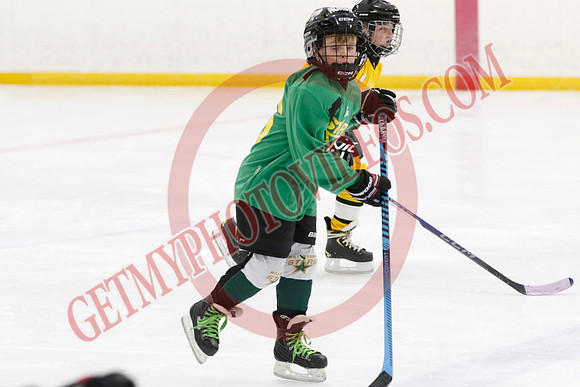 _63A2371_9 00 am - U11 - Millbrooks Stars vs Quite West World Elite Hockey Academy - Pad B