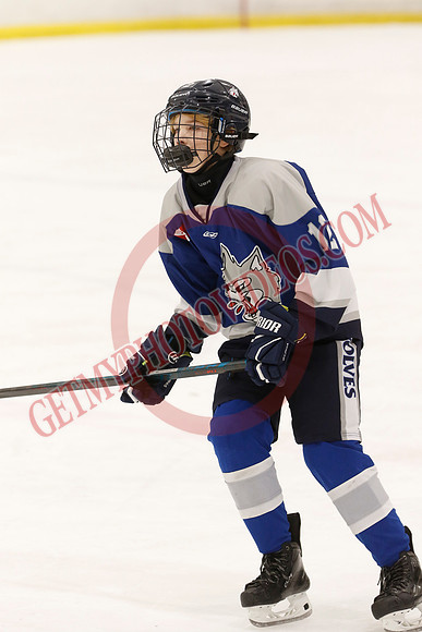 _63A0341_1 00 pm - U12 A - Sudbury Wolves vs Newmarket Renegades - Atlas