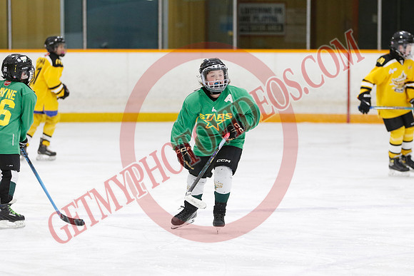 _63A2757_9 00 am - U11 - Millbrooks Stars vs Quite West World Elite Hockey Academy - Pad B
