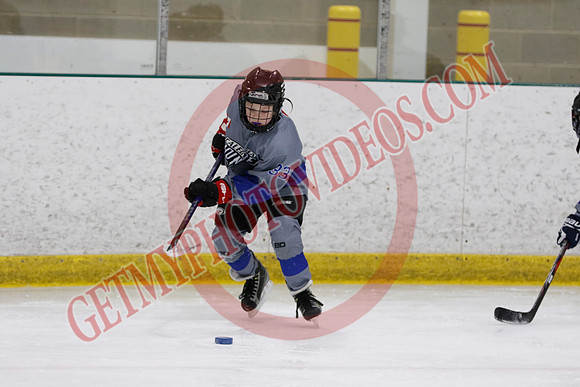 _63A9520_9 00 am - U8LLD1 - Welland Tigers Green vs Caledonia Thunder - GREEN B