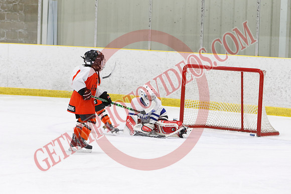 _63A1426_11 45 am - U8LL2 - West Niagara Leafs vs Wainfleet Wild - YELLOW B