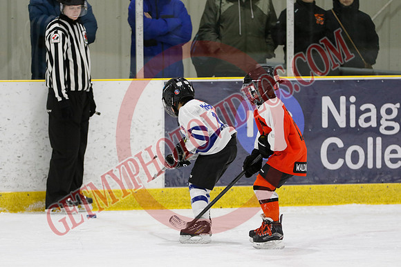 _63A2105_11 45 am - U8LL2 - West Niagara Leafs vs Wainfleet Wild - YELLOW B