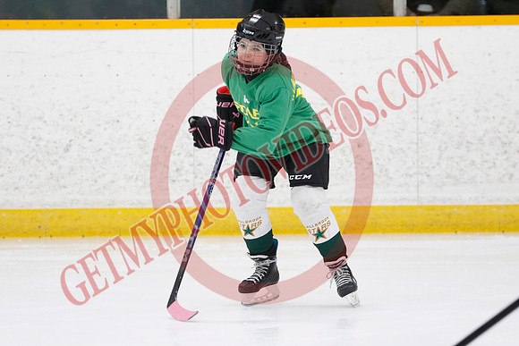_63A2803_9 00 am - U11 - Millbrooks Stars vs Quite West World Elite Hockey Academy - Pad B