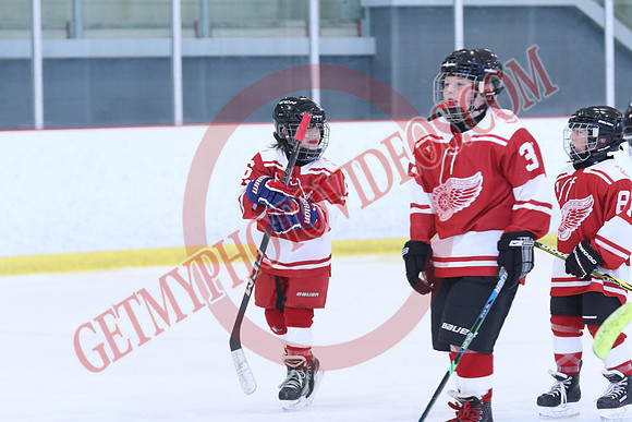 7Z7A8409_8 00 am - Orangeville Flyers Yellow vs Schomberg Red Wings