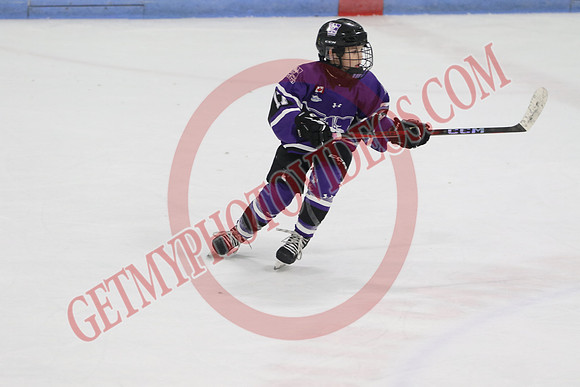 20240531-27880_7 05 pm - U12A - London Jr Mustangs White vs Welland Tigers - CC