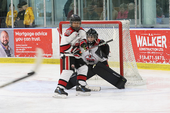 7Z7A4468_10 45 am - U11 AAA - Brantford 99ers vs Sarnia Lambton Jr Stings - Molson