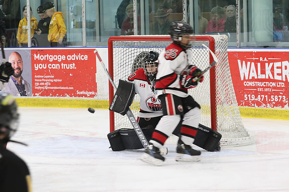 7Z7A4469_10 45 am - U11 AAA - Brantford 99ers vs Sarnia Lambton Jr Stings - Molson