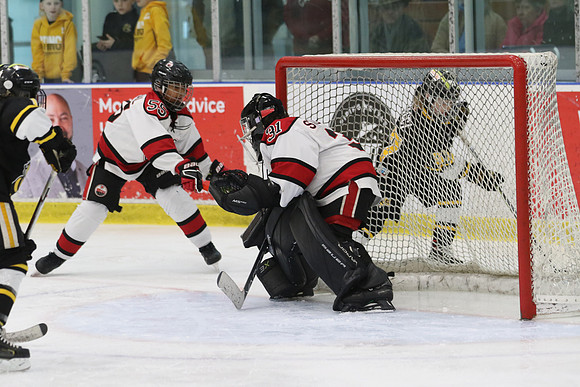 7Z7A4489_10 45 am - U11 AAA - Brantford 99ers vs Sarnia Lambton Jr Stings - Molson