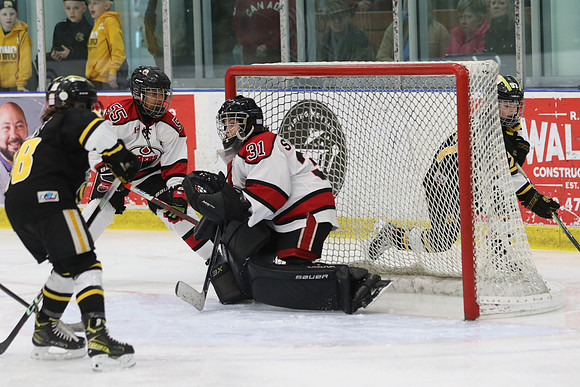 7Z7A4491_10 45 am - U11 AAA - Brantford 99ers vs Sarnia Lambton Jr Stings - Molson