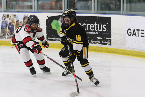 7Z7A4514_10 45 am - U11 AAA - Brantford 99ers vs Sarnia Lambton Jr Stings - Molson