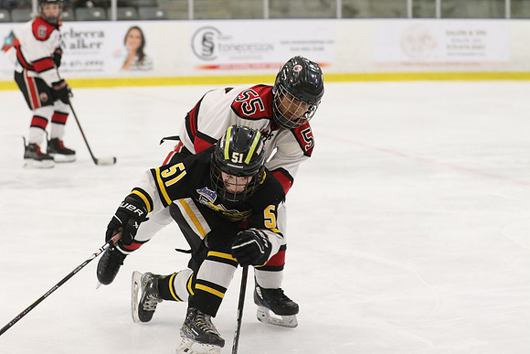 7Z7A4674_10 45 am - U11 AAA - Brantford 99ers vs Sarnia Lambton Jr Stings - Molson