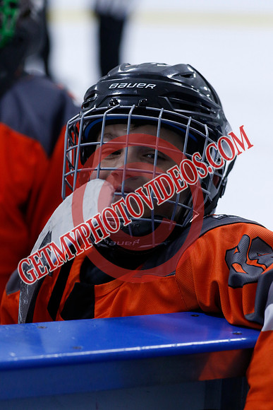 _63A9944_11 05 am - 2014 - Shamrock Selects vs River Rat Hockey - Sel