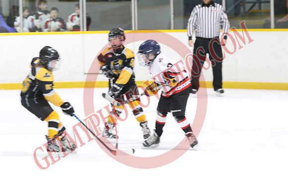 7Z7A1837_8 00 am - U11LL - Ingersoll Express 2 vs Tavistock Titans 2 - Ingersoll