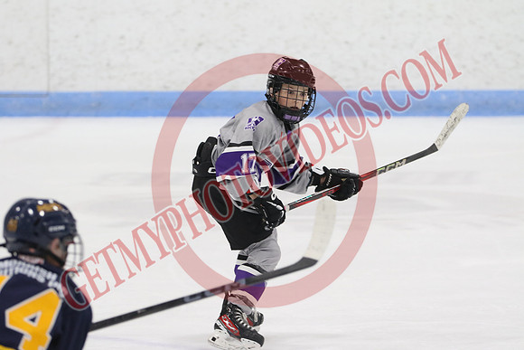 20240601-51703_1 25 pm – U12 A – Erie North Shore Storm vs London Jr Mustangs White – Memorial