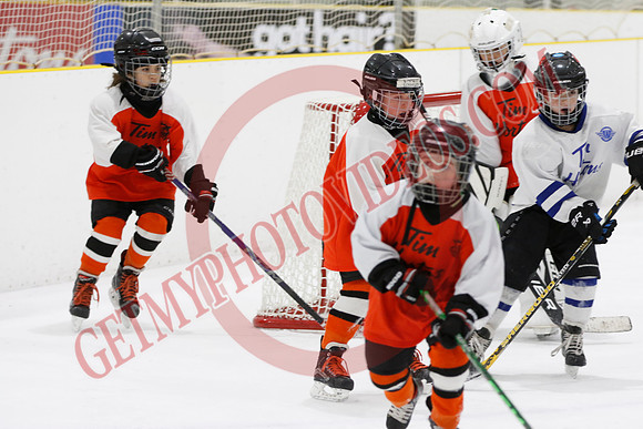 _63A1494_11 45 am - U8LL2 - West Niagara Leafs vs Wainfleet Wild - YELLOW B