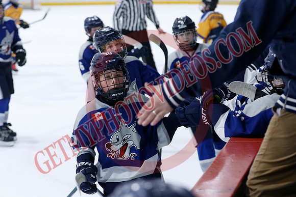 _63A0307_10 15 am - U12A - Collingwood Jr Blues vs Sudbury Wolves - NewRoads