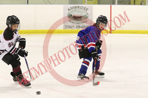 20241116-29979_12 15 pm – U11 PB – Belmont Rangers vs Tillsonburg Tornadoes 2 – Kinsmen