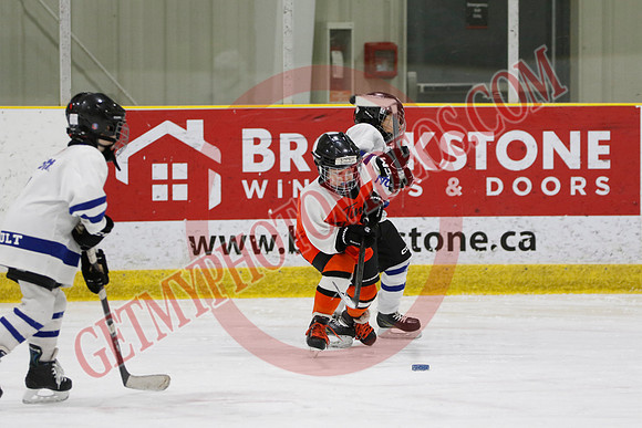 _63A2107_11 45 am - U8LL2 - West Niagara Leafs vs Wainfleet Wild - YELLOW B
