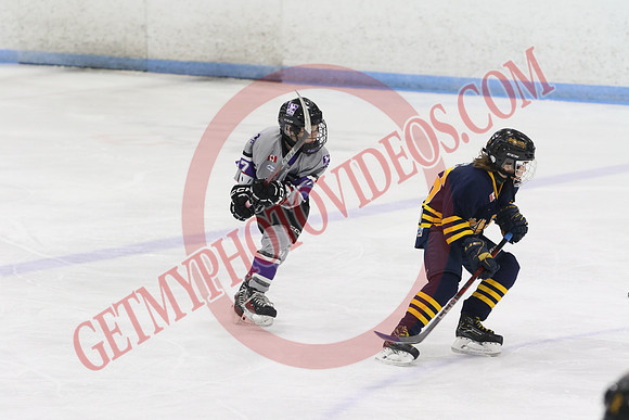 20240601-51051_1 25 pm – U12 A – Erie North Shore Storm vs London Jr Mustangs White – Memorial