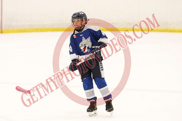 _63A2037_1 00 pm - U12 A - Sudbury Wolves vs Newmarket Renegades - Atlas