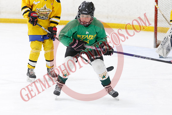 _63A4211_9 00 am - U11 - Millbrooks Stars vs Quite West World Elite Hockey Academy - Pad B