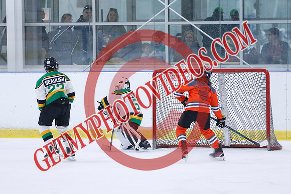 _63A0137_11 05 am - 2014 - Shamrock Selects vs River Rat Hockey - Sel