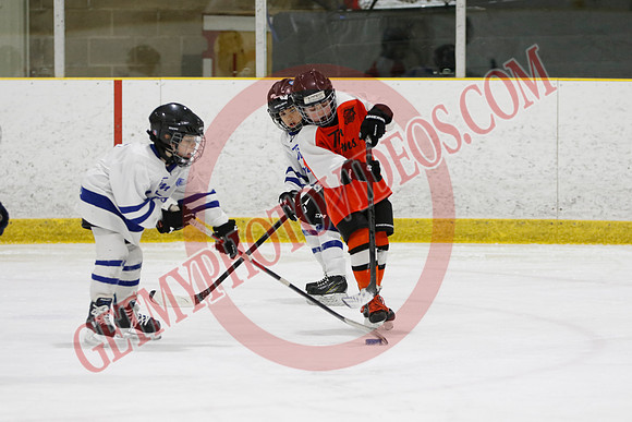 _63A2120_11 45 am - U8LL2 - West Niagara Leafs vs Wainfleet Wild - YELLOW B