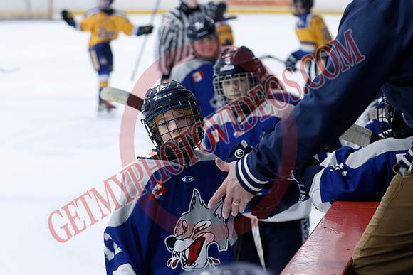 _63A0311_10 15 am - U12A - Collingwood Jr Blues vs Sudbury Wolves - NewRoads