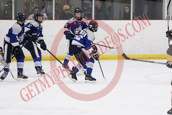 _63A7882_4 40 pm - U12A - Sudbury Wolves vs West Niagara Flying Aces - Atlas