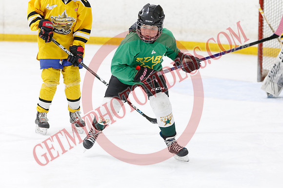 _63A4210_9 00 am - U11 - Millbrooks Stars vs Quite West World Elite Hockey Academy - Pad B