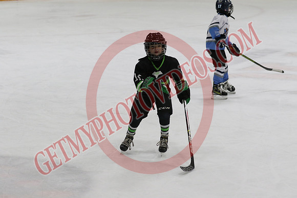 7Z7A7852