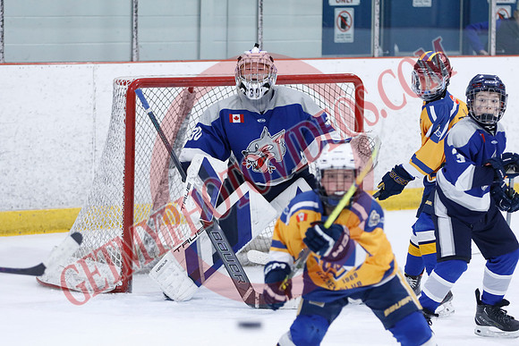 _63A9996_10 15 am - U12A - Collingwood Jr Blues vs Sudbury Wolves - NewRoads