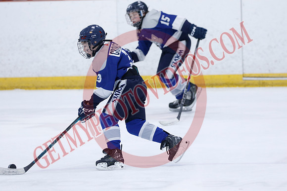 _63A8670_10 15 am - U12A - Collingwood Jr Blues vs Sudbury Wolves - NewRoads