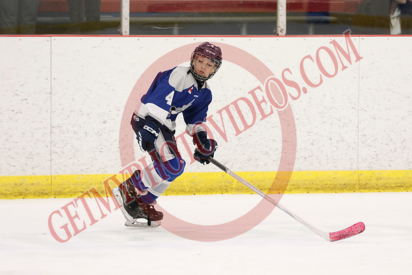 _63A1847_1 00 pm - U12 A - Sudbury Wolves vs Newmarket Renegades - Atlas