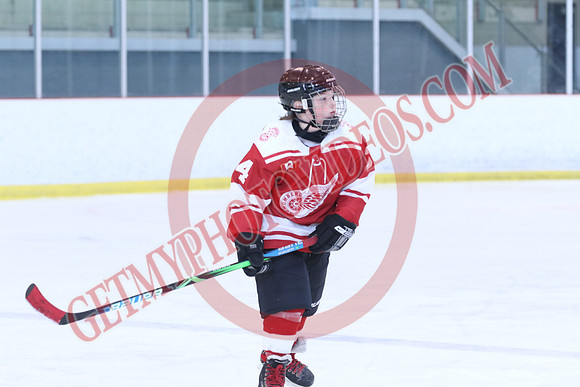 7Z7A8311_8 00 am - Orangeville Flyers Yellow vs Schomberg Red Wings