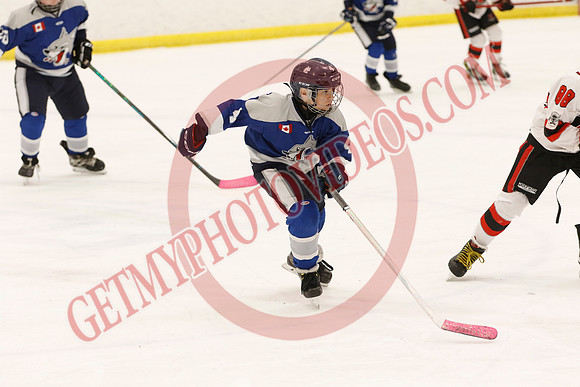 _63A0319_1 00 pm - U12 A - Sudbury Wolves vs Newmarket Renegades - Atlas