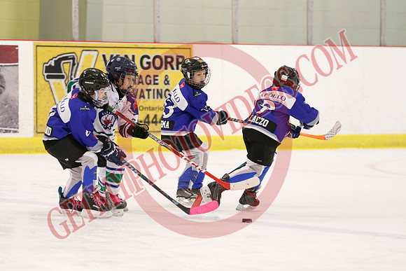 _63A5078_1 30 pm – MD2 – South Kent vs Clearview - Eastlink