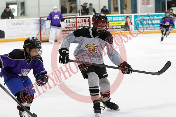 _63A4559_9 00 am - U13 - Prince Edward County Kings Salem vs Quinte West Golden Hawks - Pad A