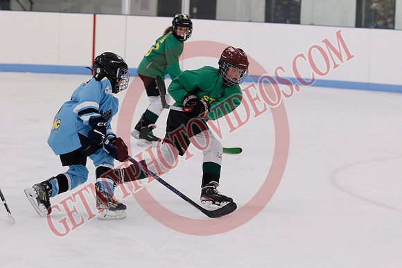 _63A4087_8 00 am - U11HL - Millbrook Stars Gold vs Orono Leafs Team 3