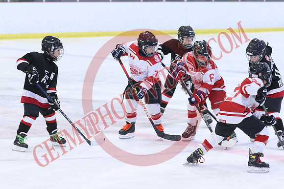 7Z7A0724_1 00 pm - W GM2 vs W GM1