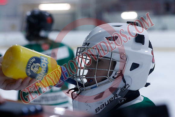 _63A8547_1 45 pm - U11B - Wasaga Stars vs South Simcoe Storm - NewRoads