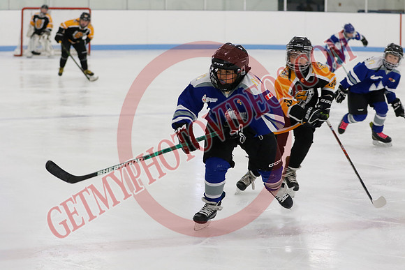 _63A5810_9 00 am - Campbellford Colts Yellow vs Orono Leafs Team 1