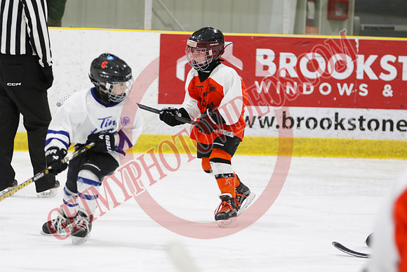 _63A1463_11 45 am - U8LL2 - West Niagara Leafs vs Wainfleet Wild - YELLOW B