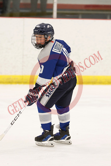 _63A0465_1 00 pm - U12 A - Sudbury Wolves vs Newmarket Renegades - Atlas
