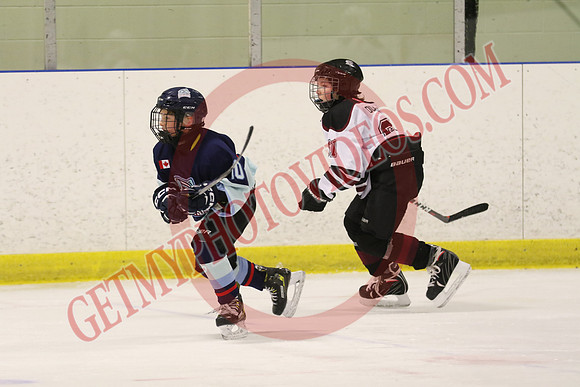 7Z7A3121_7 45 pm – U13 PB – Saugeen Valley Steelheads 2 vs Tillsonburg Tornadoes 2 – Kinsmen