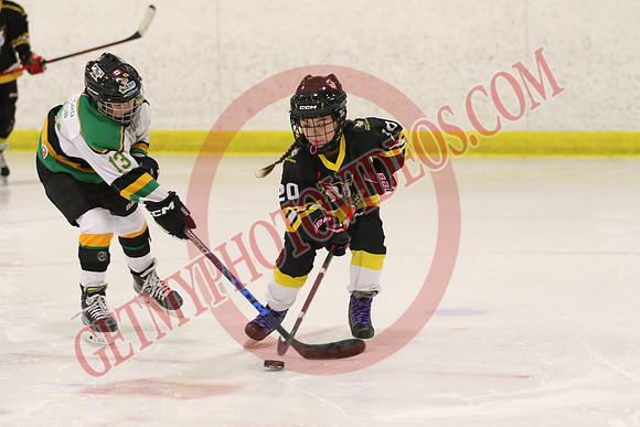 7Z7A0596_10 00 am – LL1 – Thamesford vs Paris – Kinsmen