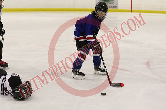 20241116-29457_12 15 pm – U11 PB – Belmont Rangers vs Tillsonburg Tornadoes 2 – Kinsmen