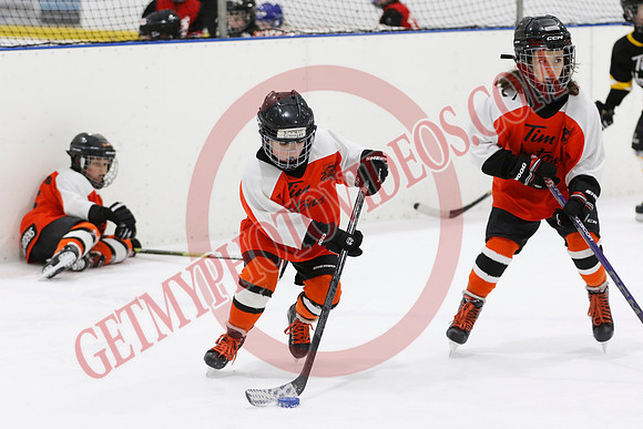 _63A1299_9 15 am - U8LL2 - Wainfleet Wild vs Waterford - BLUE A
