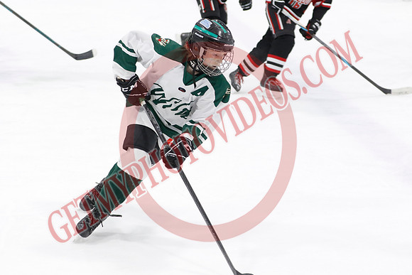 _63A7311_9 10 am - U13B - Caledon Hawks vs Brock Wild - NewRoads