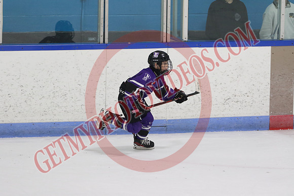 20240531-27875_7 05 pm - U12A - London Jr Mustangs White vs Welland Tigers - CC